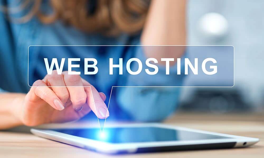 how much does website hosting cost